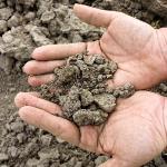 Dry Soil